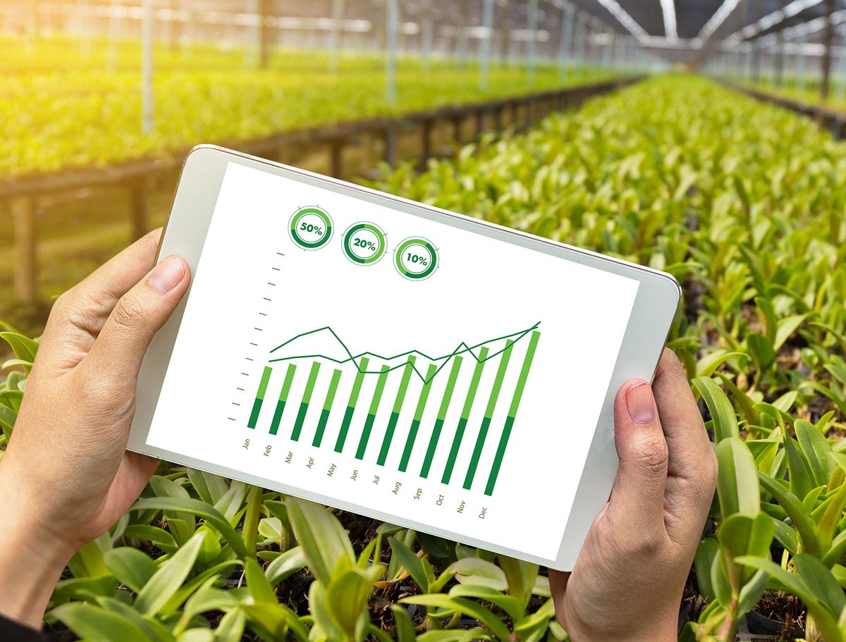 Tablet mit Statistiken vor grünen Pflanzen