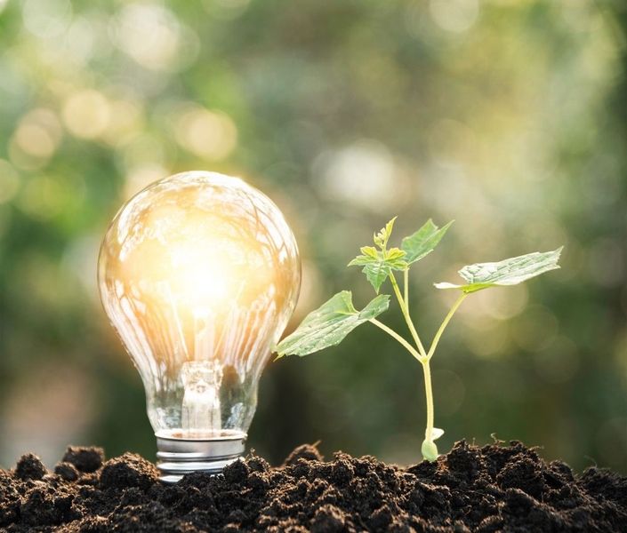 Leuchtende Glühbirne in Erde mit einer Pflanze daneben